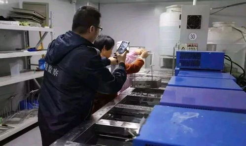 深圳環保消防嚴查風暴下，一家工廠的關閉與反思